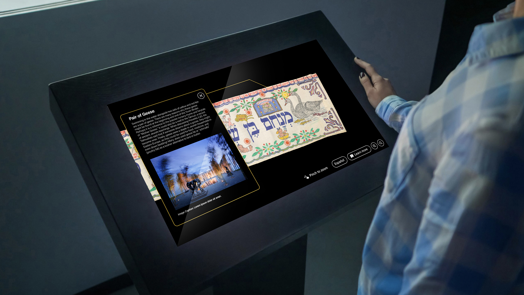 NCMA Image Viewer Mockup