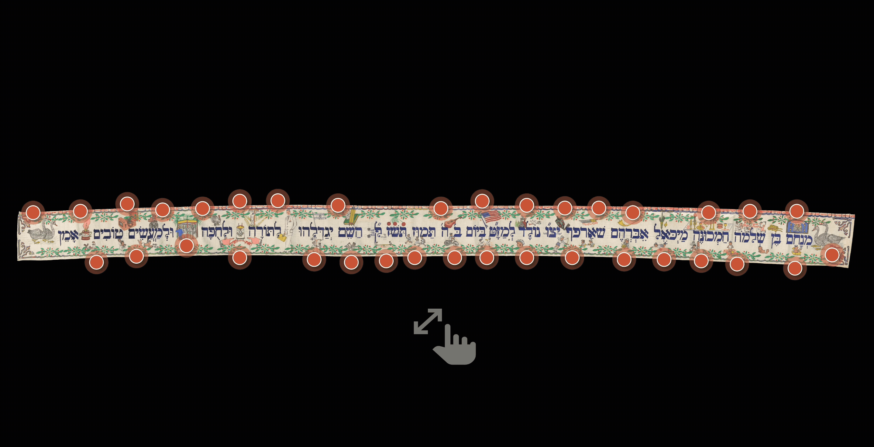 NCMA Image Viewer GIF