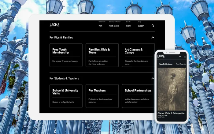 LACMA Website